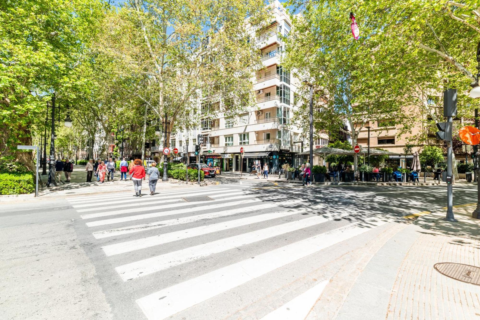 Encantador Piso Pleno Centro A Pie De Semana Santa Y Cerca De La Alhambra Granada Exteriör bild