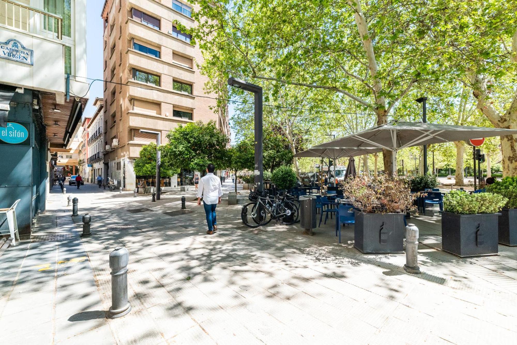 Encantador Piso Pleno Centro A Pie De Semana Santa Y Cerca De La Alhambra Granada Exteriör bild